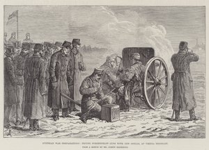 Preparativi di guerra austriaci, prova dei cannoni Nordenfeldt con nuovi proiettili, a Vienna Neustadt da Johann Nepomuk Schonberg